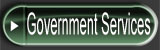 Government Services